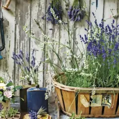 En stor korg med lavendel i kruka, bredvid en blå lykta och en bukett blommor.