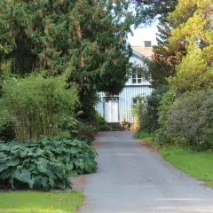 En vacker trädgård med en blåvit villa i bakgrunden. En stig leder fram till huset, kantad av frodiga växter och buskar som ser ut att vara redo att plantera buskar.