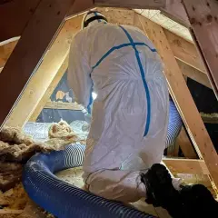 Person i skyddsdräkt installerar isolering på en vind med blå slang. Bra isolerab recensioner är viktiga för energieffektivitet.