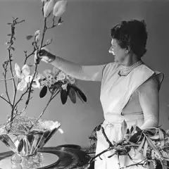 Constance Spry, en pionjär inom blomsterkonst, arrangerar magnoliagrenar och rhododendron i en elegant vas.