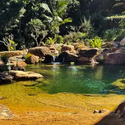 En vacker naturpool i Sverige, omgiven av frodig grönska och stenar. Vattnet är klart och inbjudande, perfekt för ett svalkande dopp.