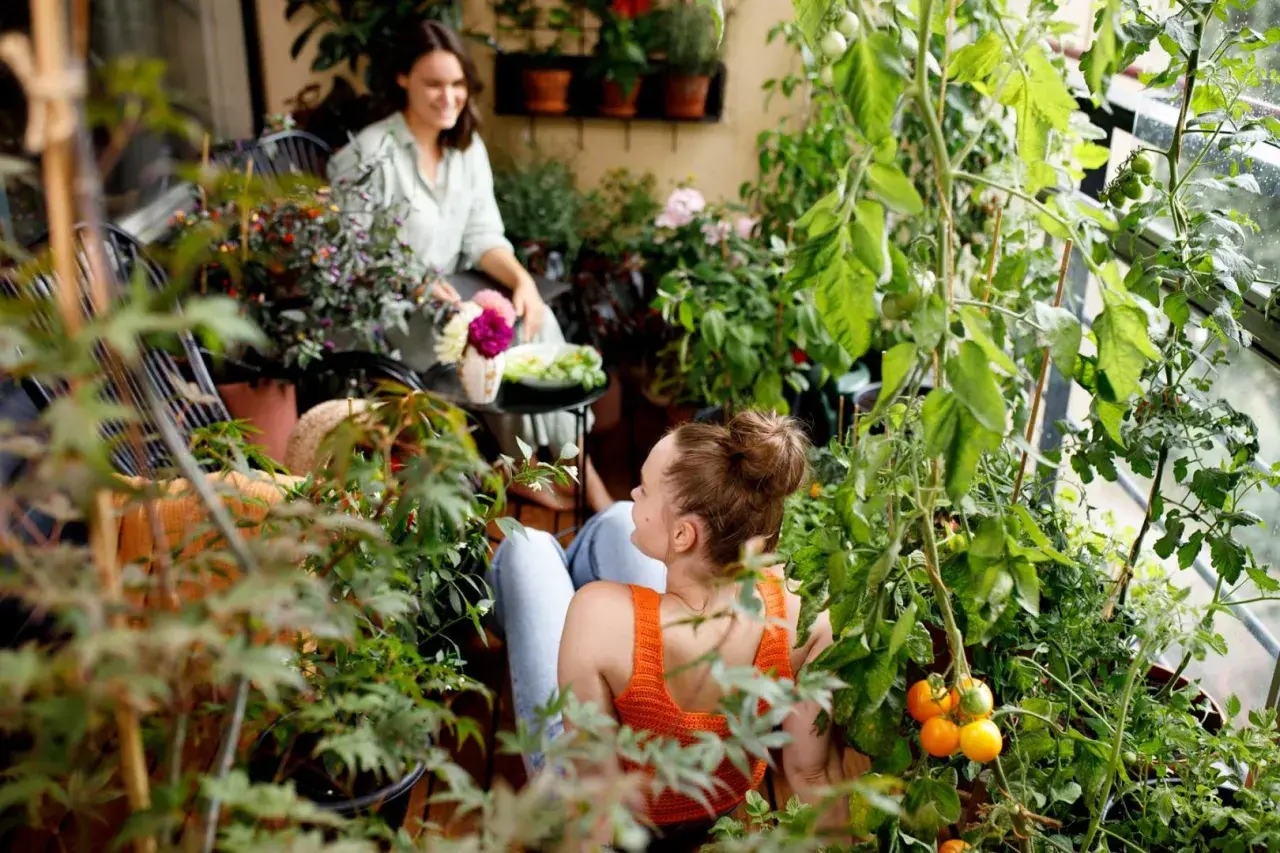 Två kvinnor njuter av en grönskande balkong med många balkong blommor och tomatplantor.