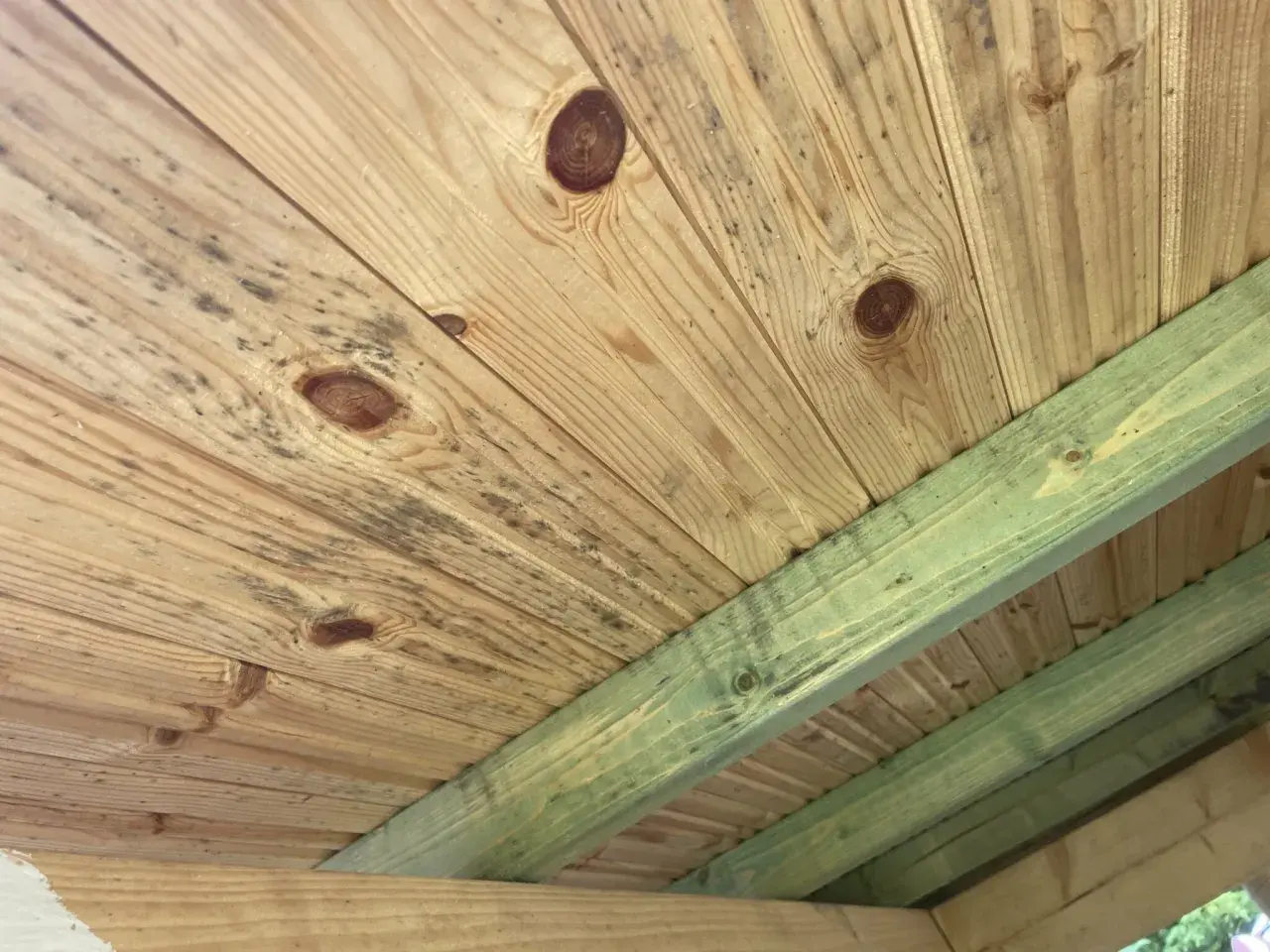 Mögel på träpanelen i en friggebod, vilket indikerar dålig ventilation.