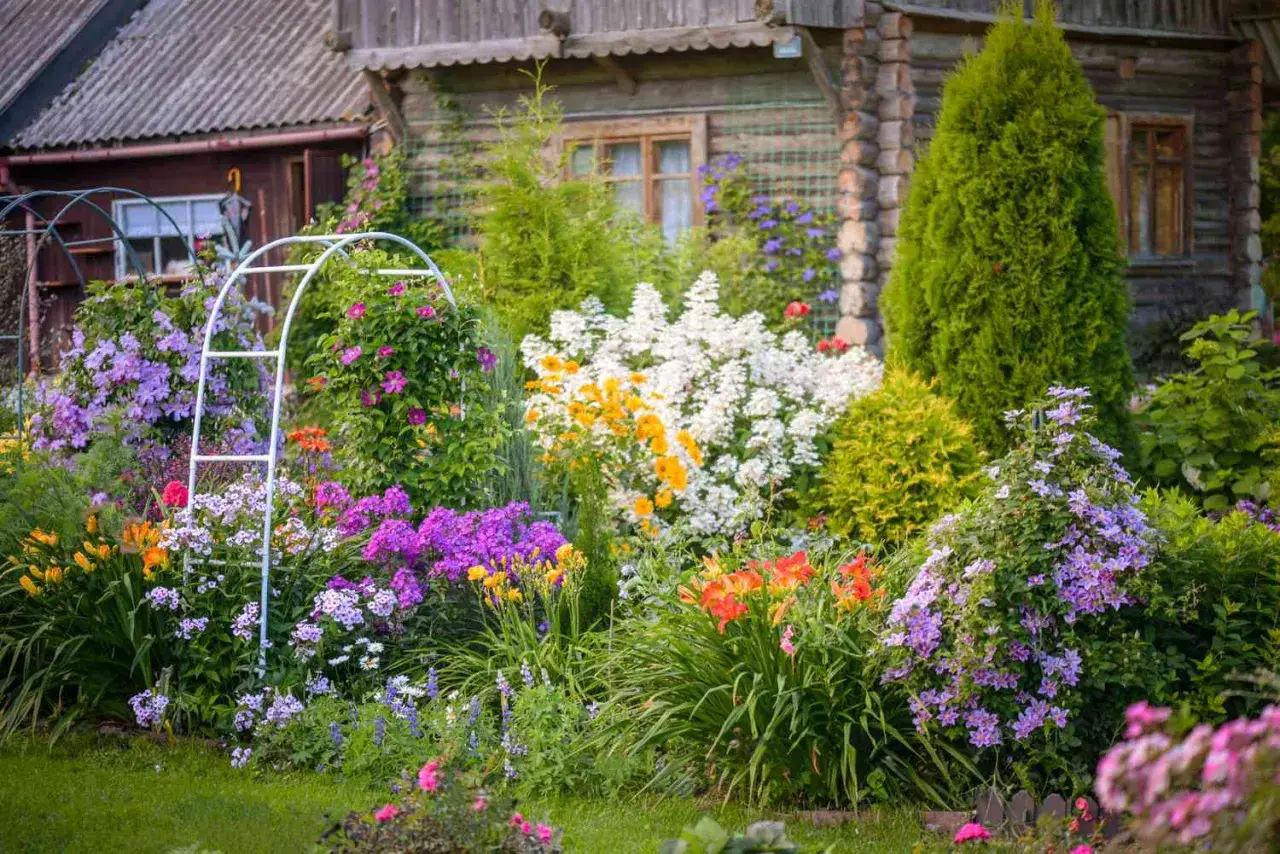 En lummig trädgård med en vit spaljé, full av blommor i lila, rosa, orange och gult. En vacker plats att plantera perenner.